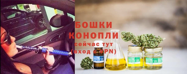 ГАЛЛЮЦИНОГЕННЫЕ ГРИБЫ Балабаново